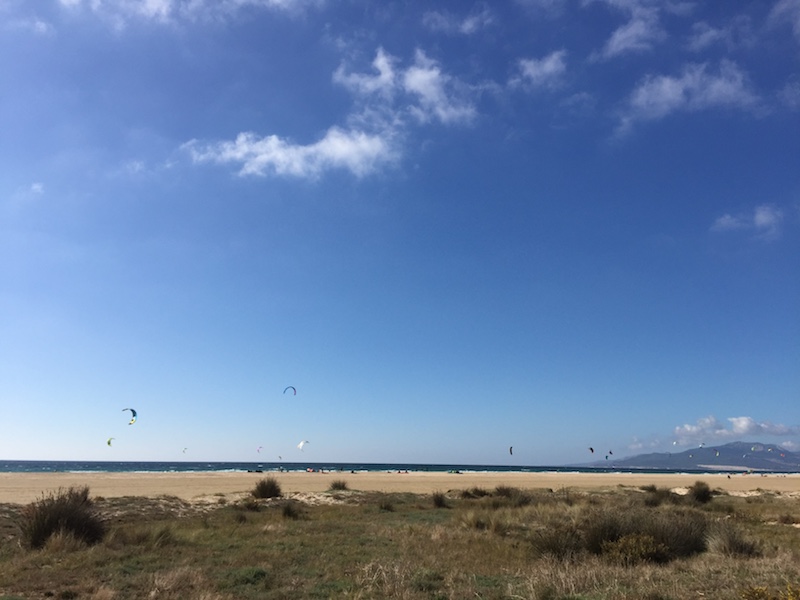 Image showing view of the beach from the promenade in Tarifa, Spain. There are kites from kitesurfers flying in the blue sky.