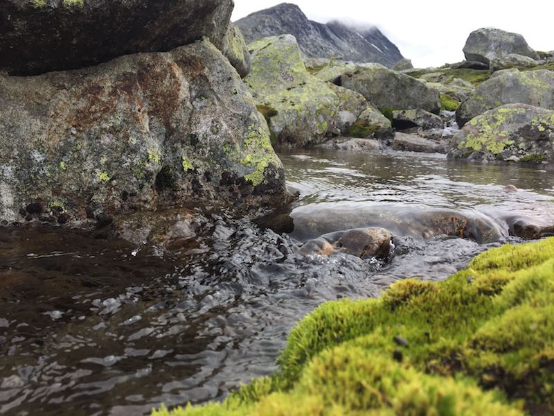 Image of drinking water flowing in stream among rocks and moos patches taken in Norway's National Park Jotunheimen